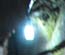 Copan Jaguar Tunnel
